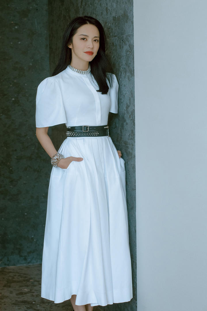 穿着长裙的气质美女明星姚晨图片