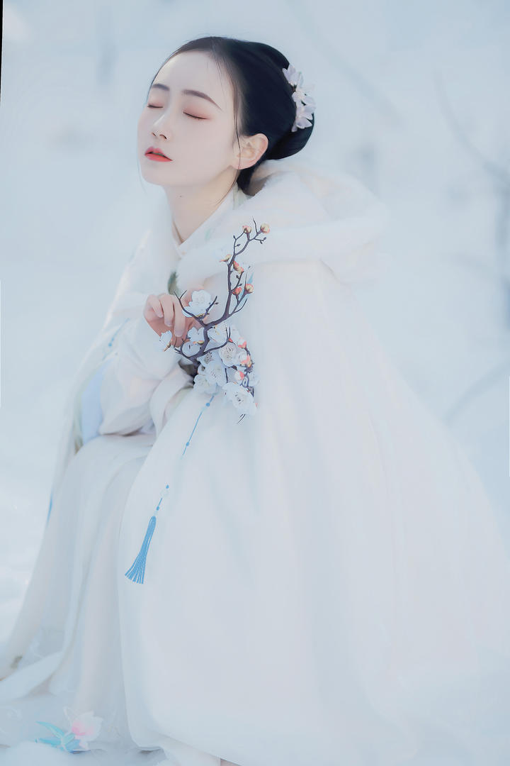 古装美女摘梅花艺术照图片