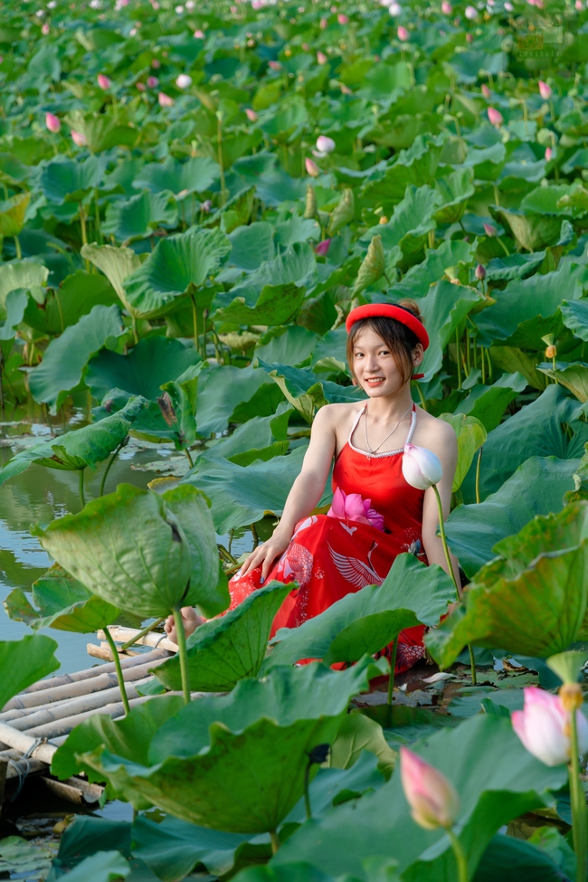 夏日荷塘性感少女写真艺术摄影图片