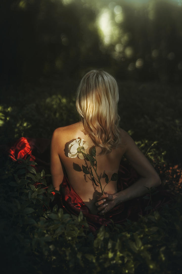 拿着花朵的气质美女背影艺术写真图片