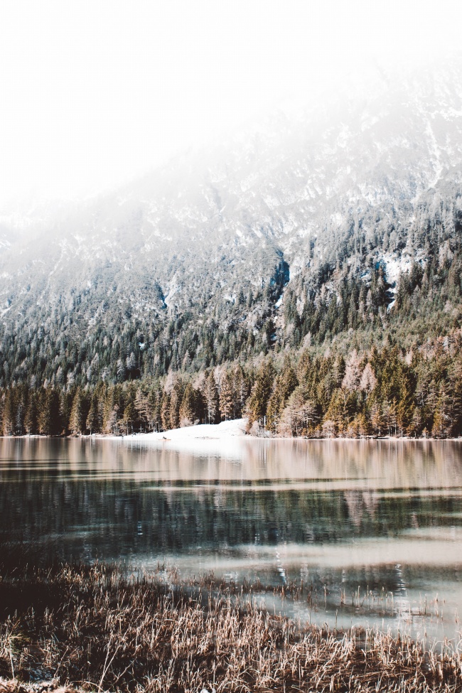 冬季高山树林雪景图片