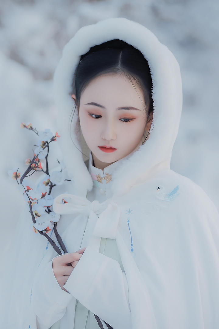 抱着梅花的古装美女艺术照高清图片