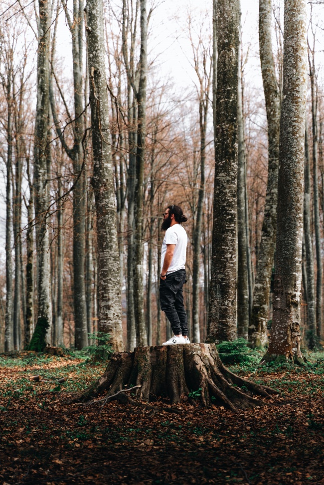 深秋树林帅哥图片