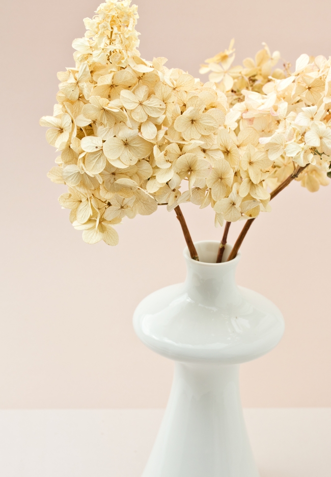 极简主义白色干花插花图片