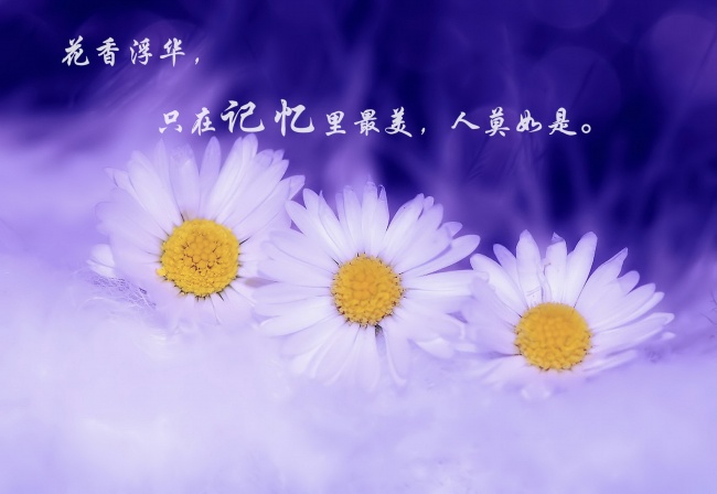 带文字的图片说说