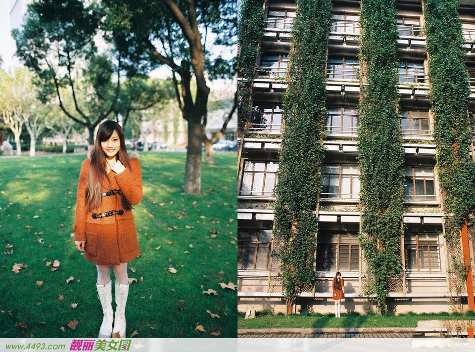 冬季的暖阳,因你而灿烂