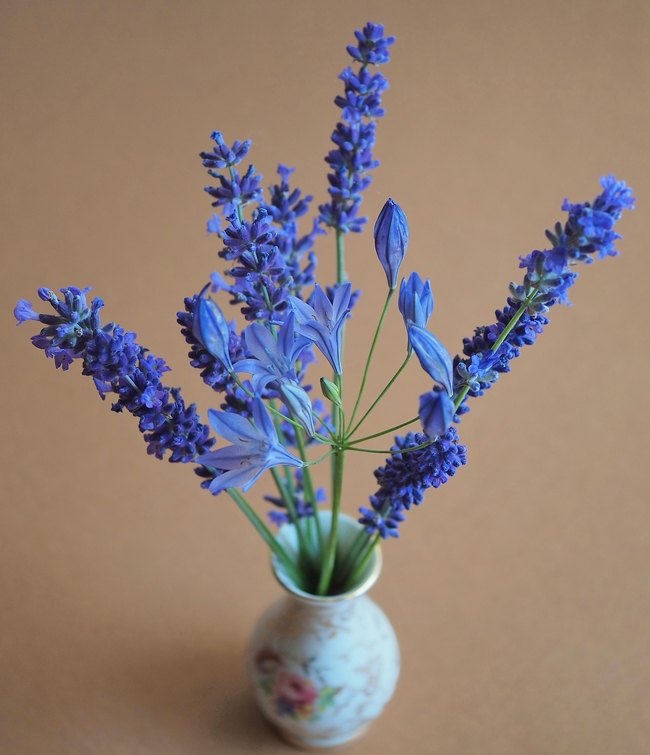 蓝色薰衣草花瓶花艺插花图片