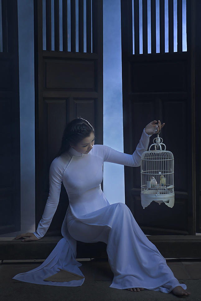 提着鸟笼的高清越南美女艺术图片