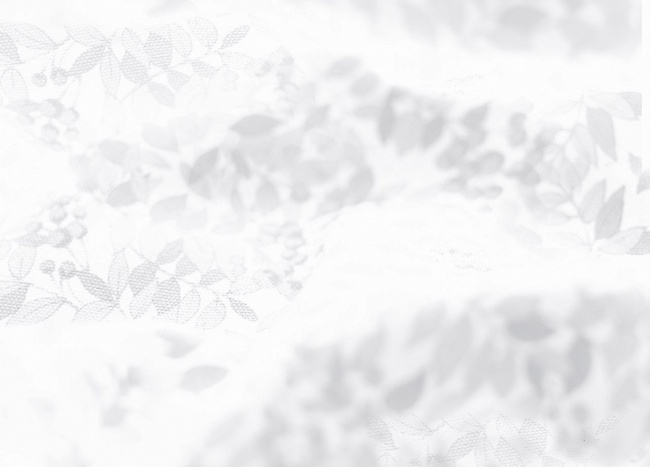 灰白树叶背景图片