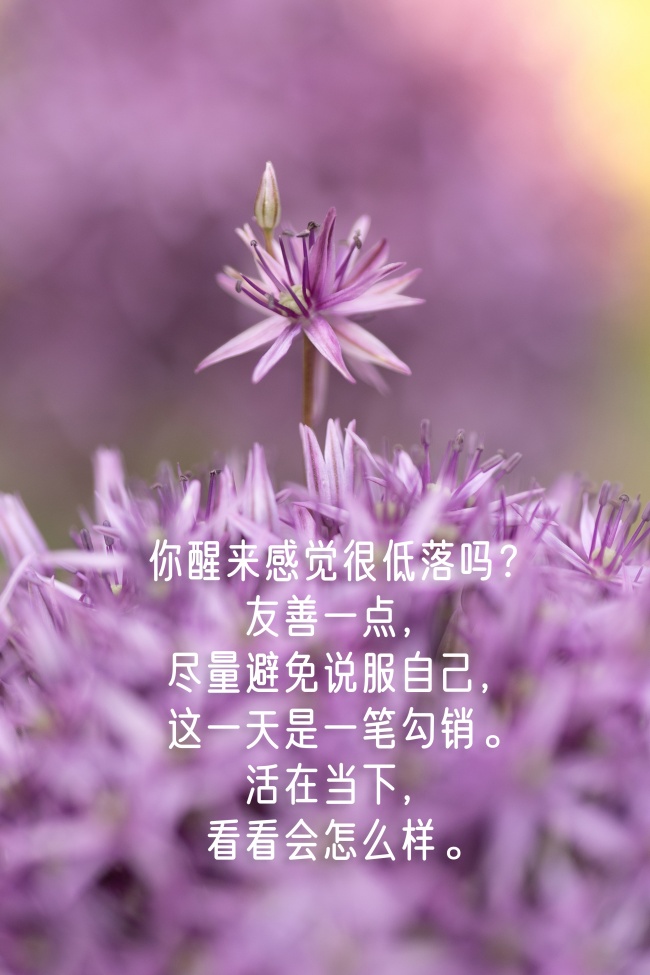 让心静下来的文字图片