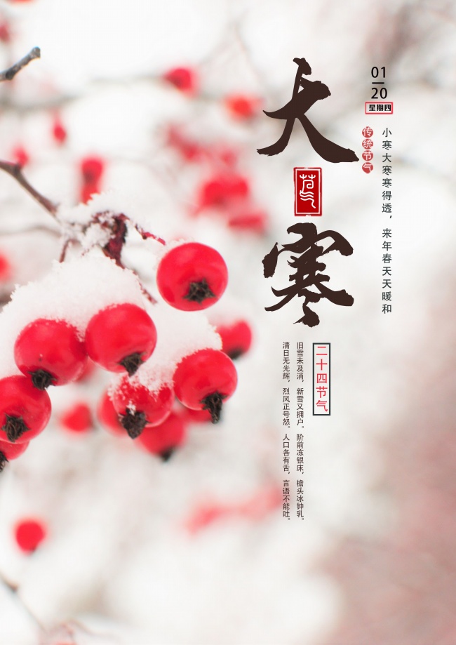 大寒海报图片