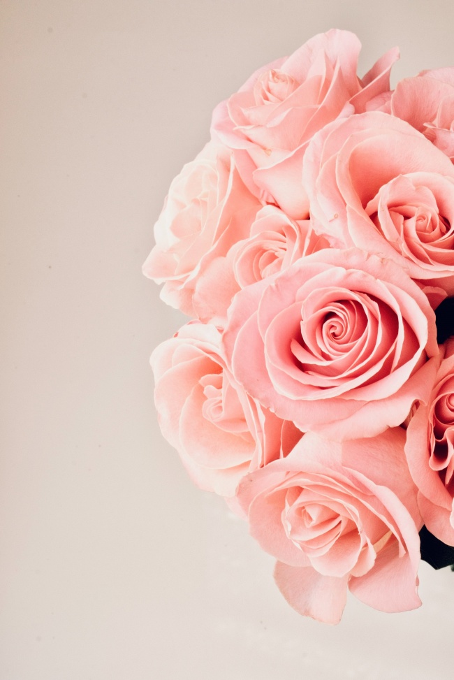 治愈系粉色玫瑰花图片