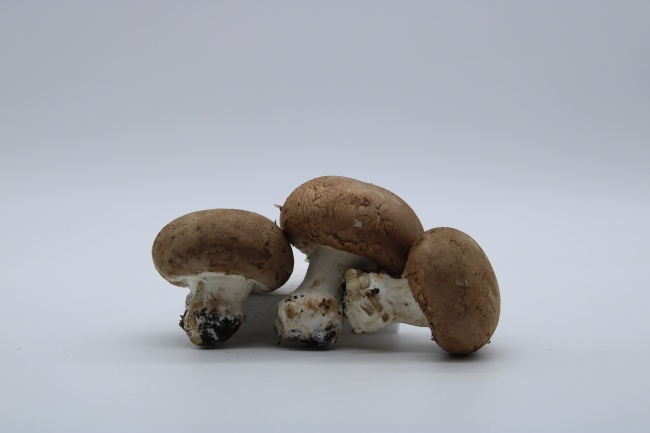 食用香菇蔬菜图片