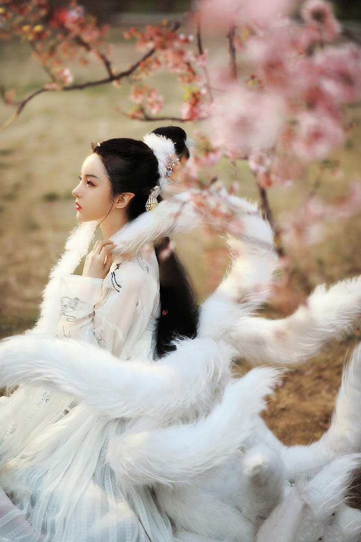 桃花树下九尾狐古装美女艺术写真图片