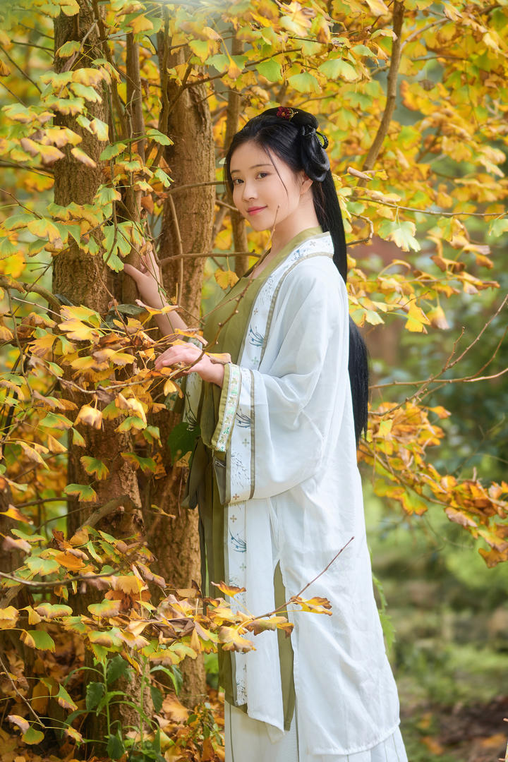 站在树边的清纯古典汉服美女高清壁纸图片