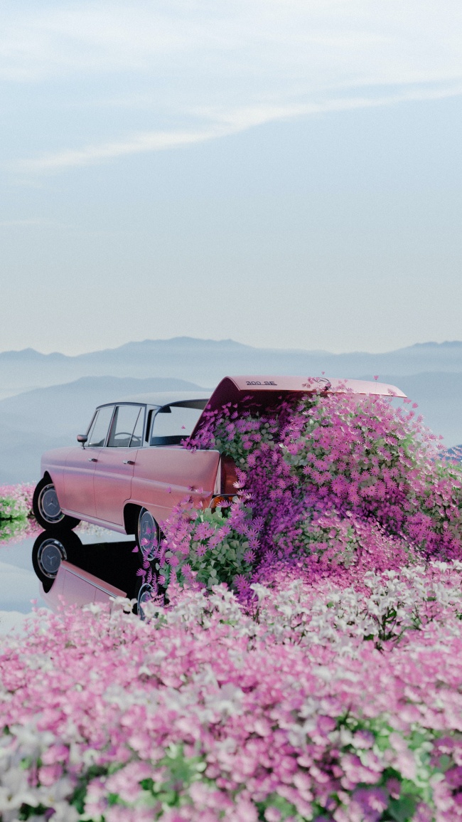 粉色花车花海图片