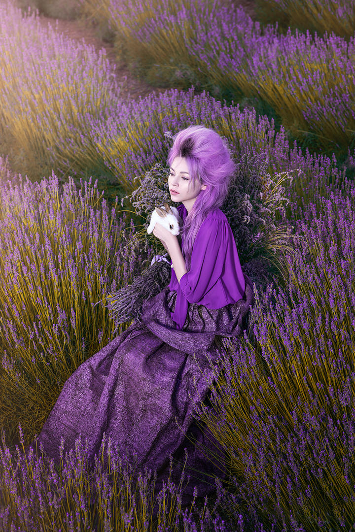 薰衣草丛中抱着兔子的欧美美女艺术写真