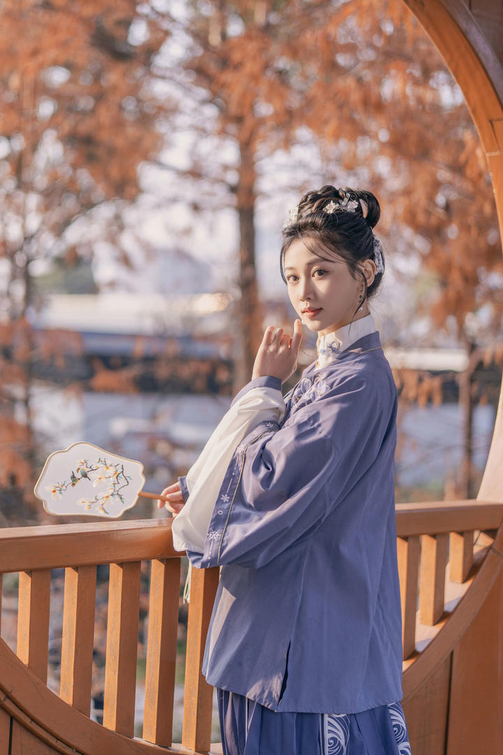 紫色古装美女壁纸大全