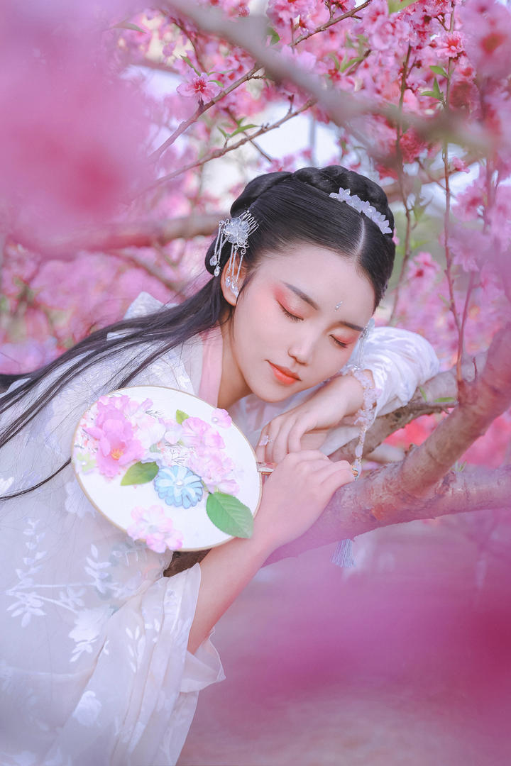趴在树枝上睡觉的高清古装美女图片