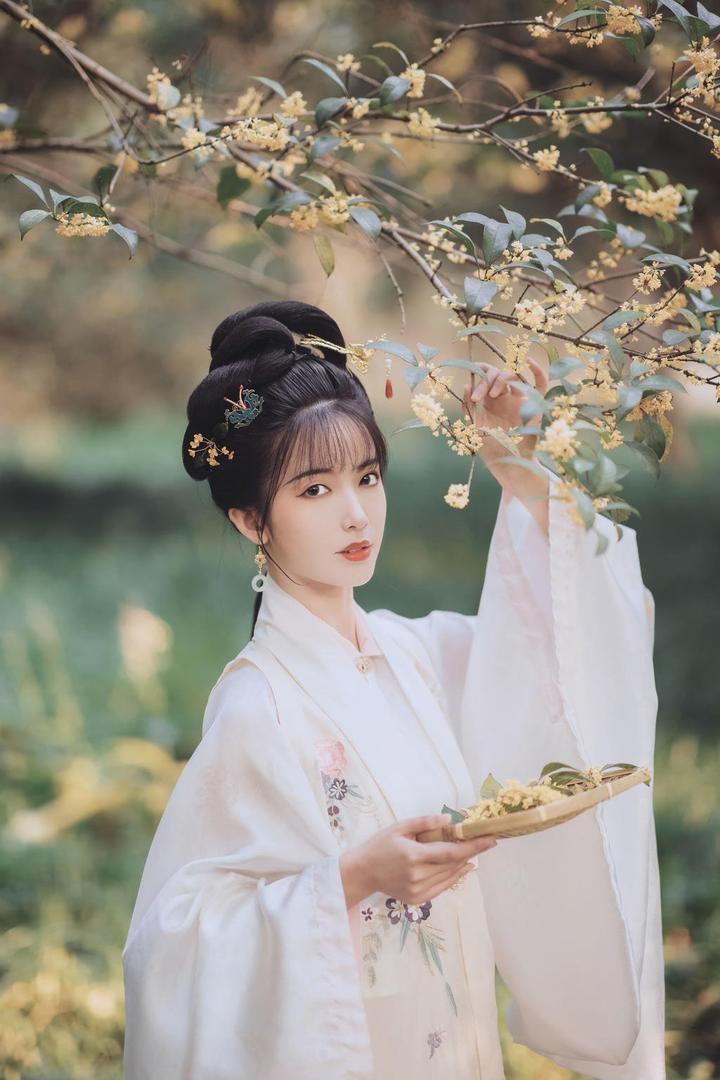 采摘桂花的唯美古装美女艺术写真图片
