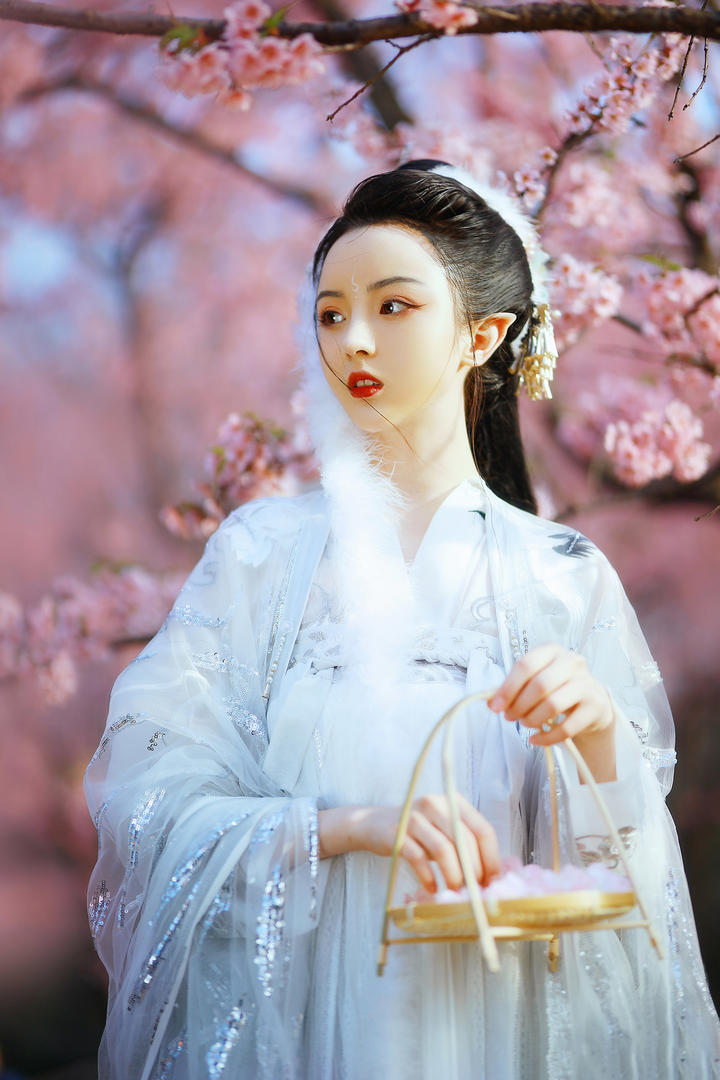 桃花族黛玉葬花古装美女艺术摄影图片