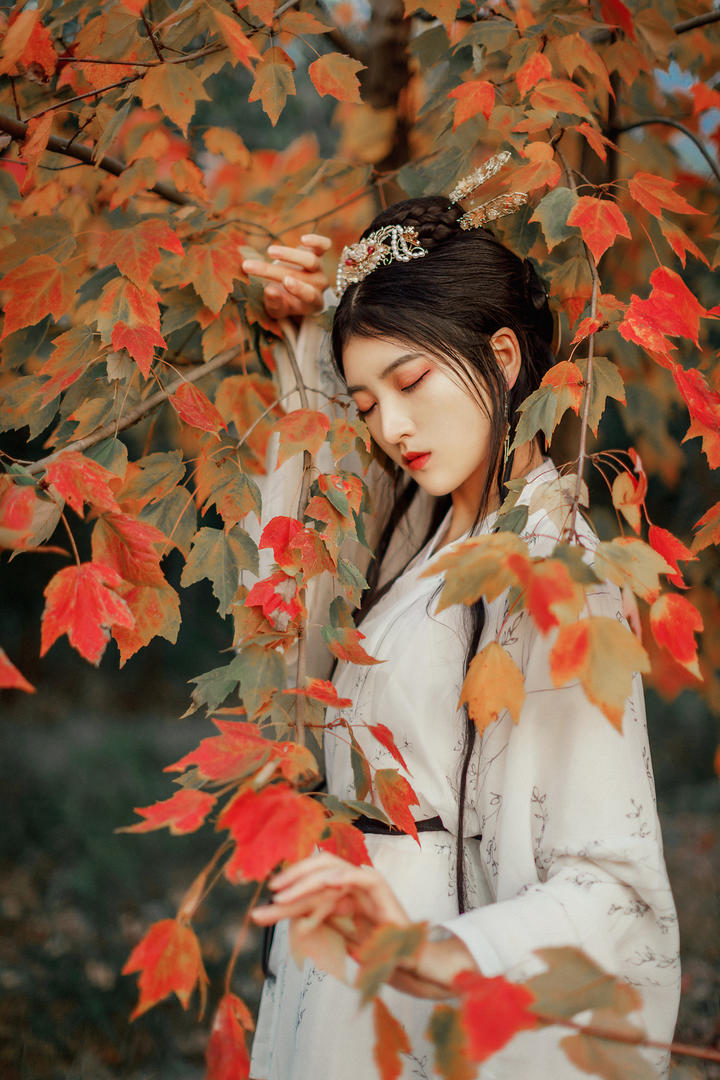 枫树下的古装汉服美女高清艺术照图片