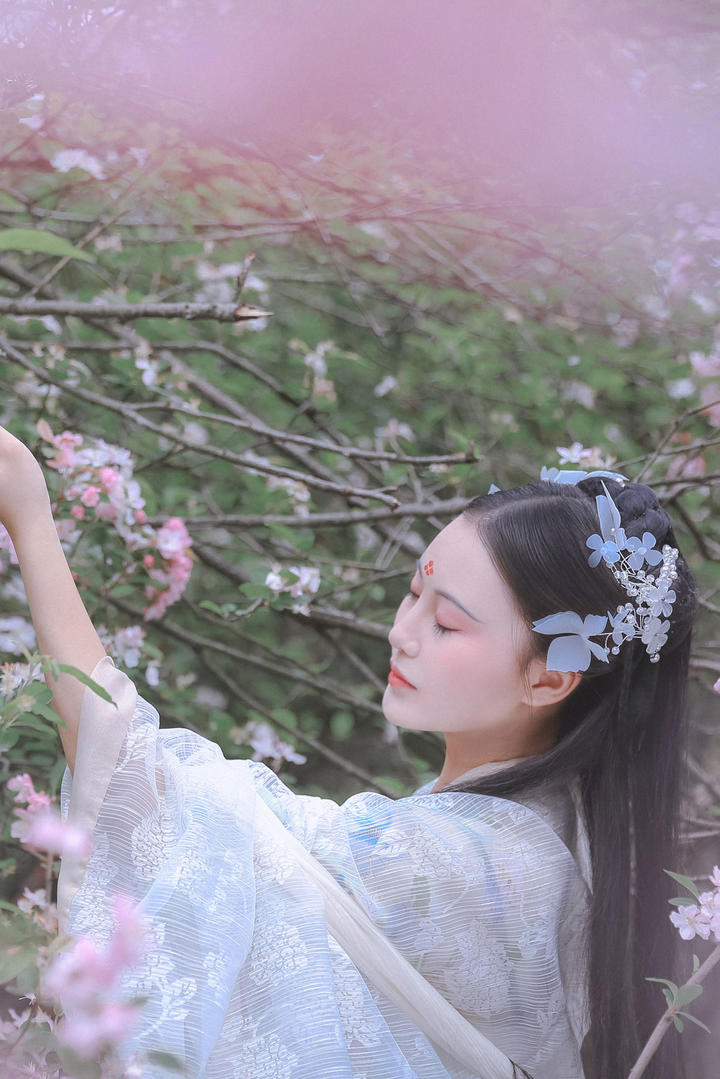 桃花林中的古装美女图片