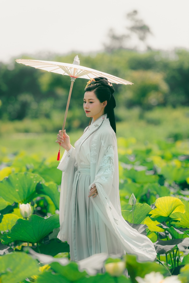 荷塘唯美古典美女图片