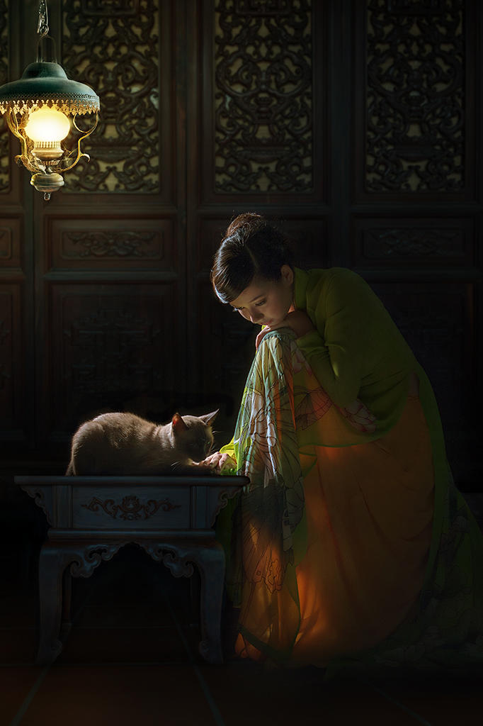 越南古典美女撸猫艺术写真图片