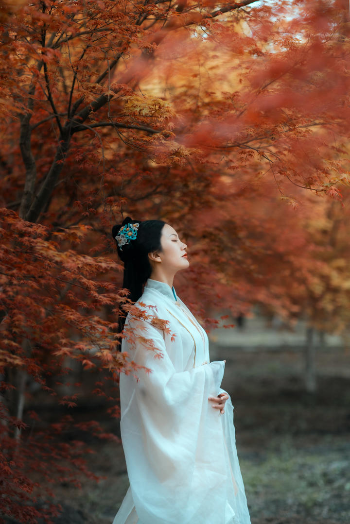树林中的清纯古装汉服美女壁纸图片