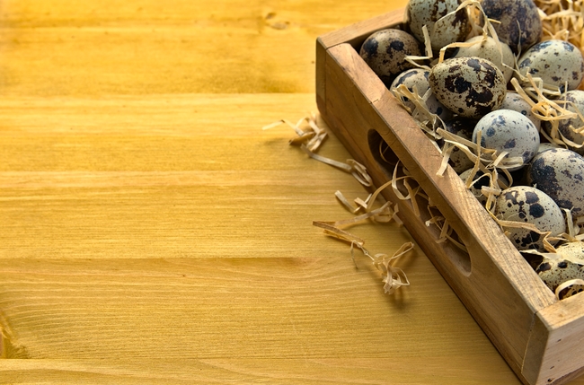 复活节鹌鹑蛋图片