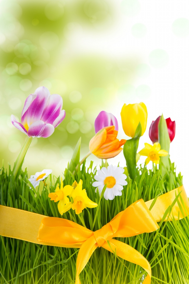 黄色丝带捆绑的花草图片