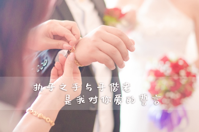 执子之手与子偕老图片