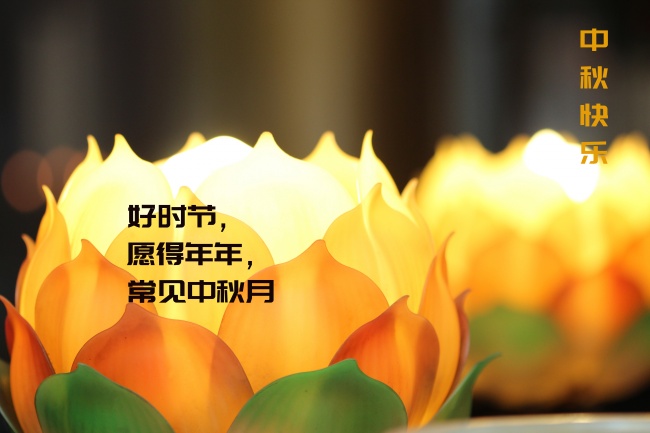 中秋莲花灯会图片