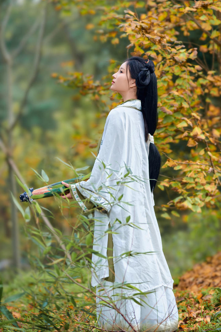 树林中的白衣少女古典艺术摄影图片