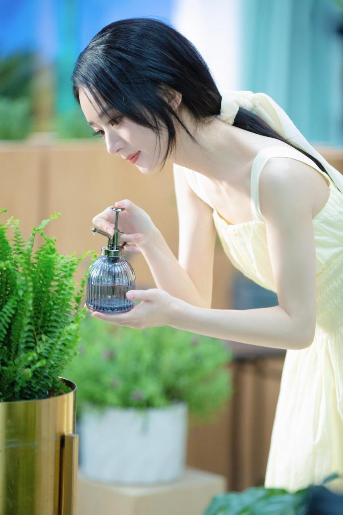浇花的美女明星赵丽颖颖宝图片