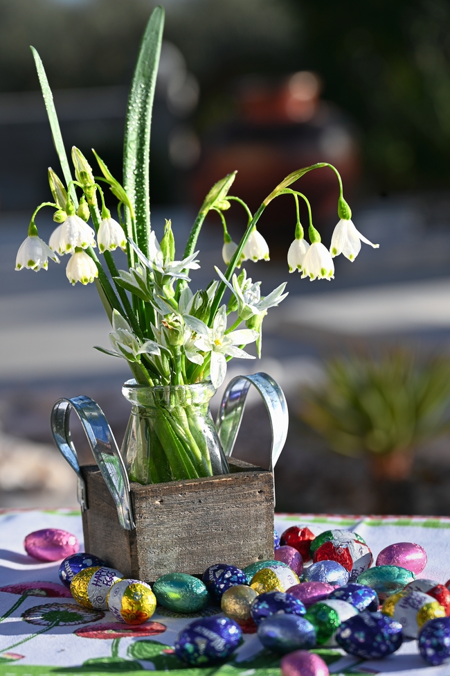 复活节彩蛋水培插花摄影图片