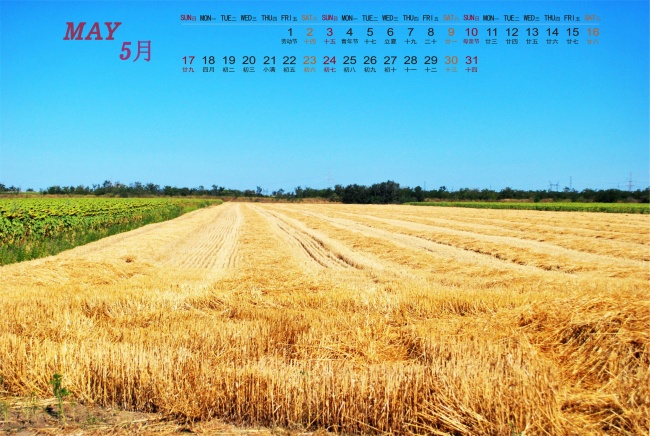 2015年5月日历表