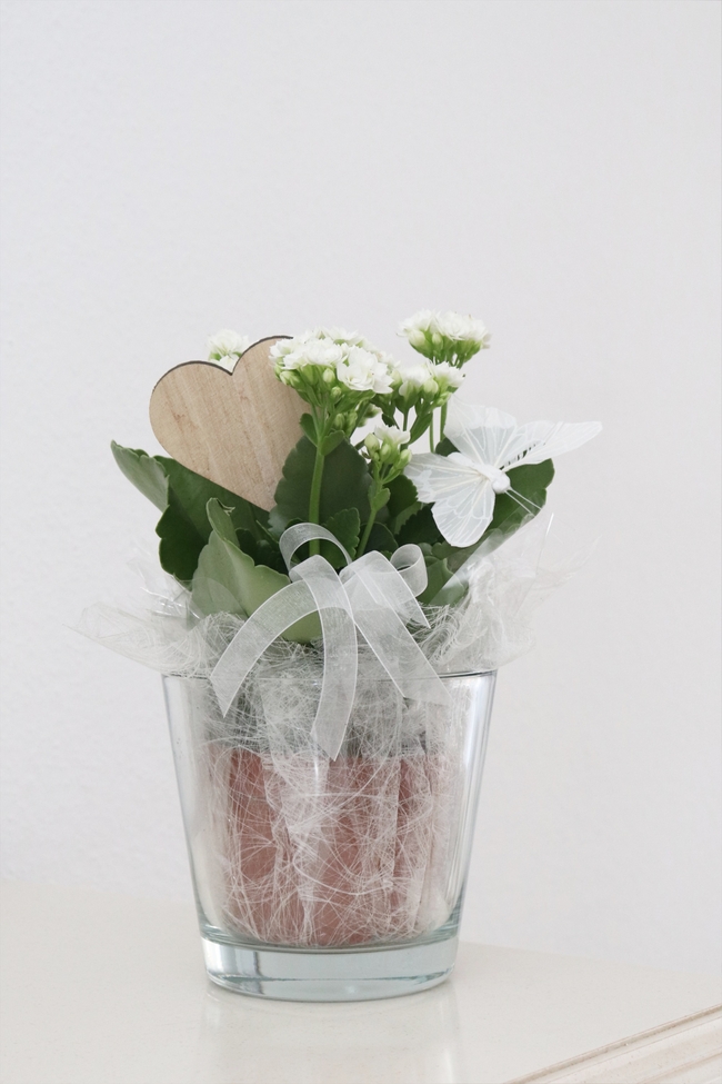 玻璃杯清新插花图片