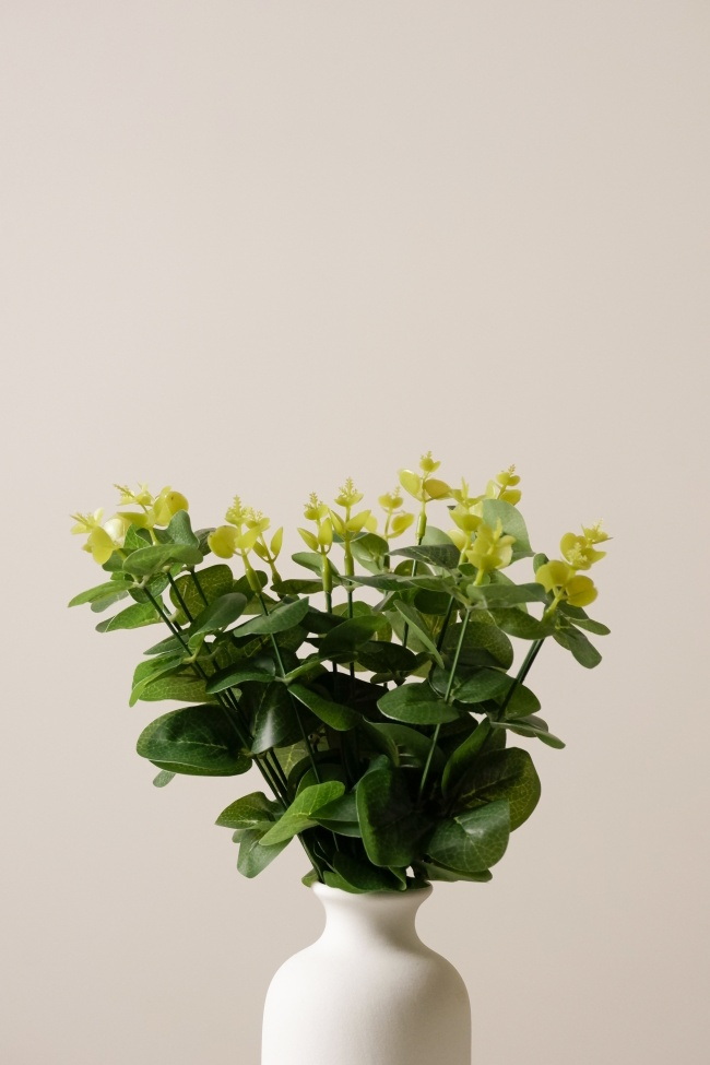 绿色植物插花图片