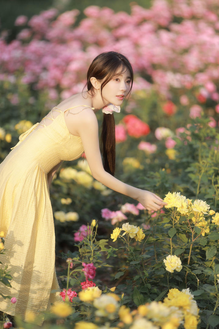 赏花的清纯漂亮女生116美女高清壁纸图片下载