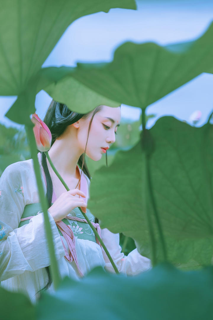 超清荷叶中的古装美女图片