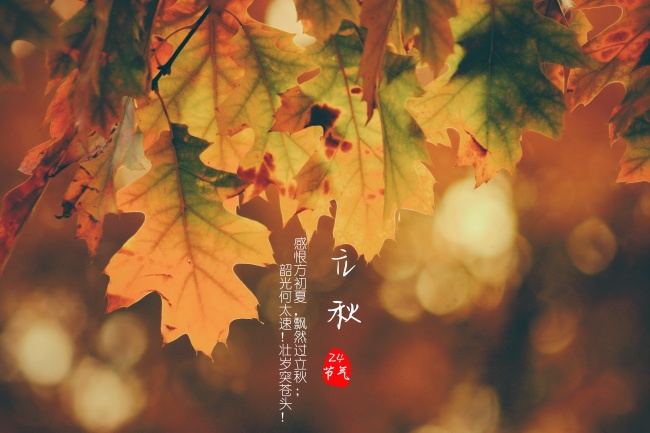 24节气立秋图片