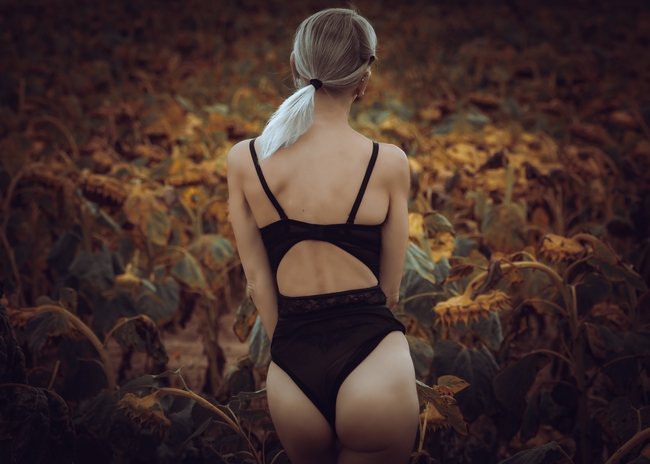 向日葵花海性感比基尼人体背影图片