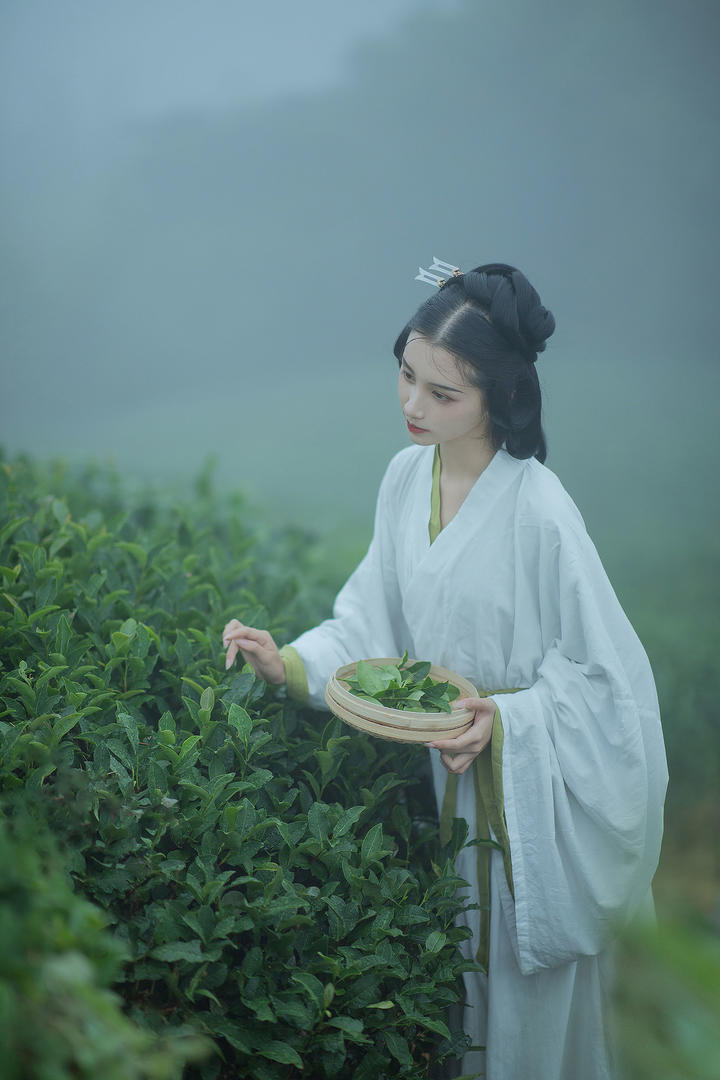 唯美高清采茶女古风壁纸图片