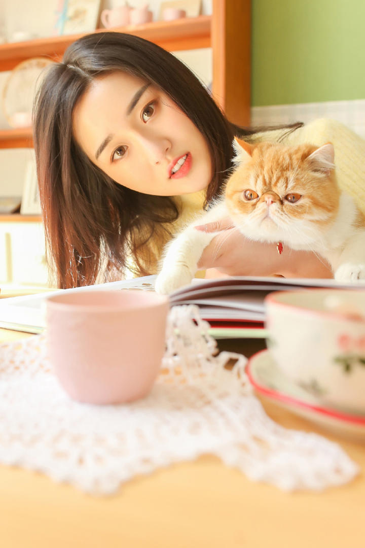撸猫的美女高清壁纸图片大全