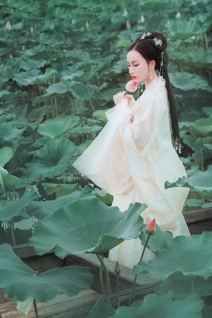 拿着荷花的高清古典美女图片