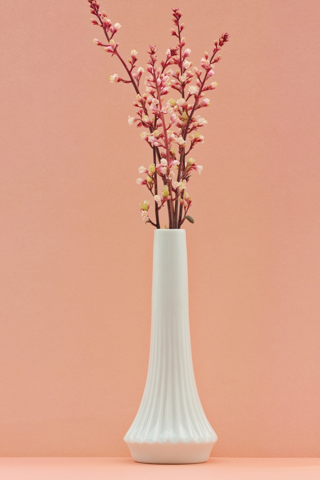 素雅白色花瓶静物插花图片