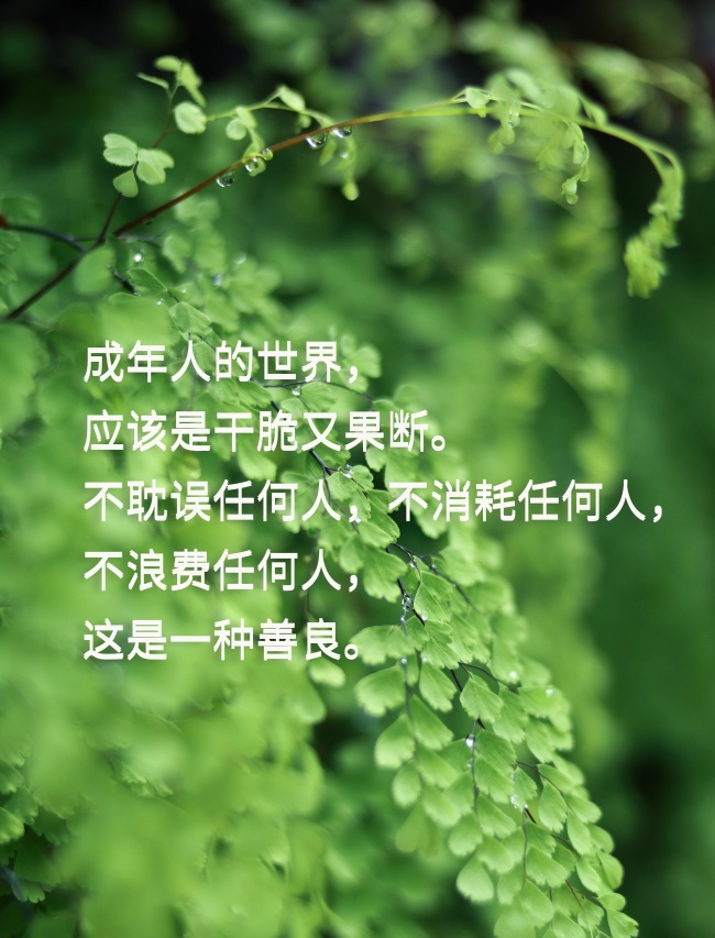 一句话生活感悟文字语录图片