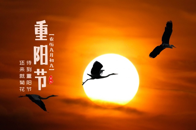 九九重阳节图片海报
